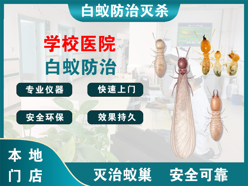 宁波学校医院白蚁防治