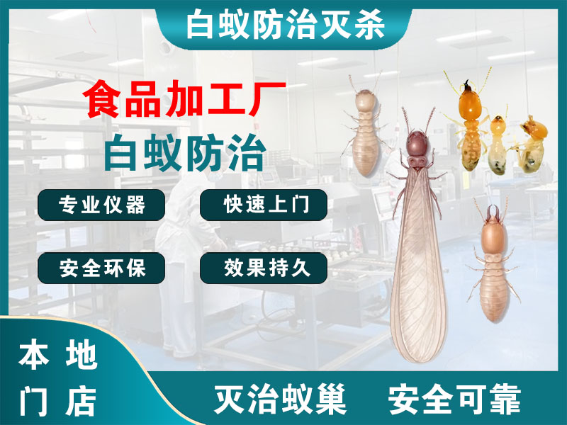 宁波食品加工厂白蚁防治