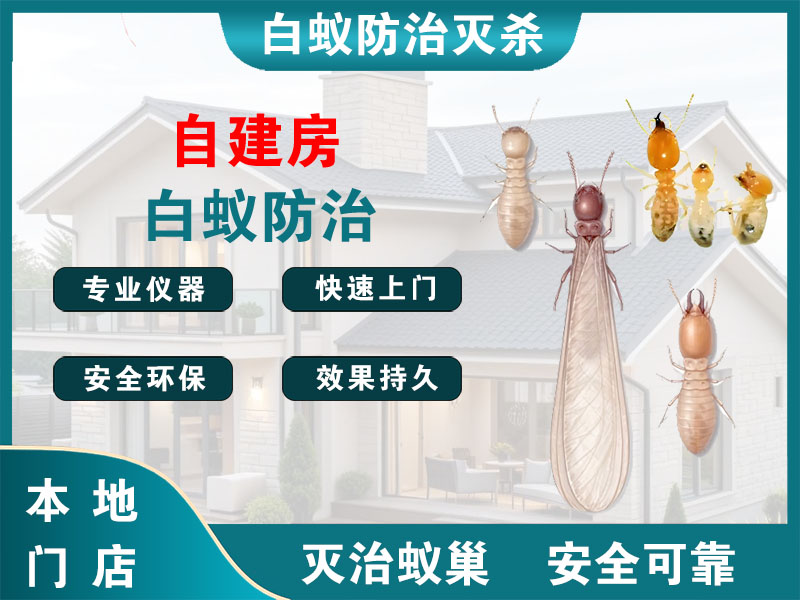 宁波自建房白蚁防治