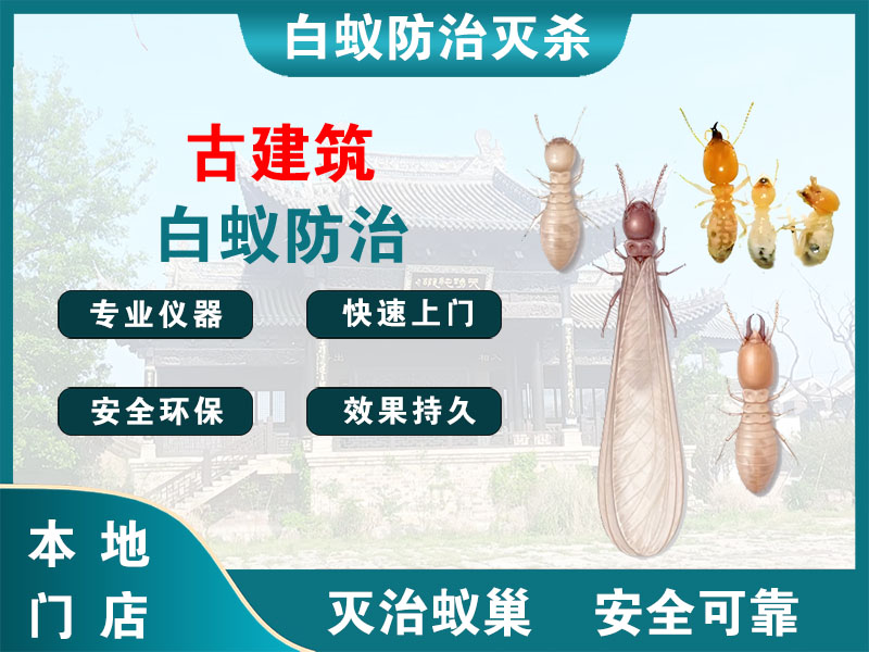 宁波古建筑白蚁防治