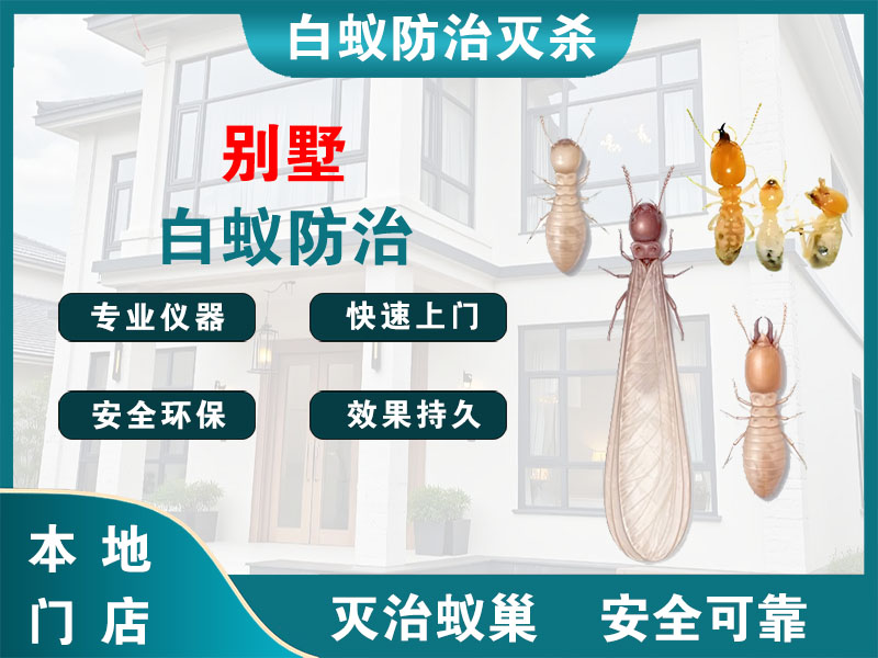 宁波别墅白蚁防治